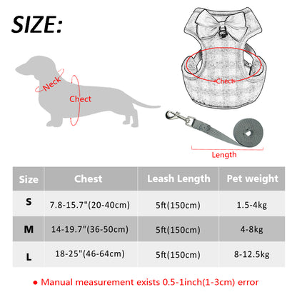 Small Dog Harness and Leash Set