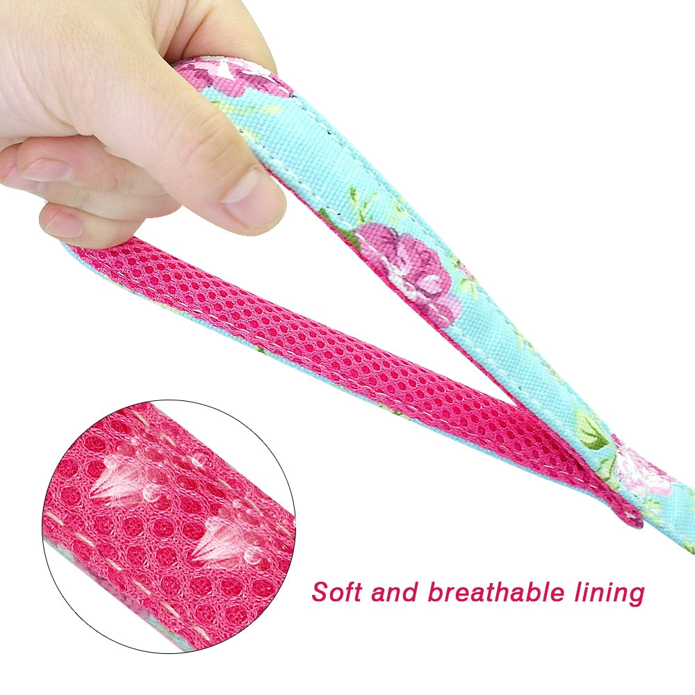 Dog Leash Nylon Print