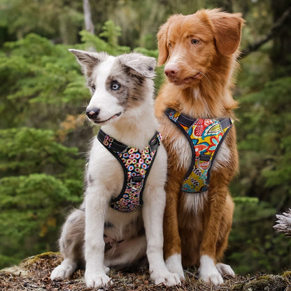 Quick Control Dog Harness With Lift Handle