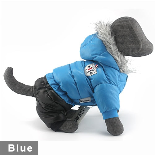 Warm puffy dog coat