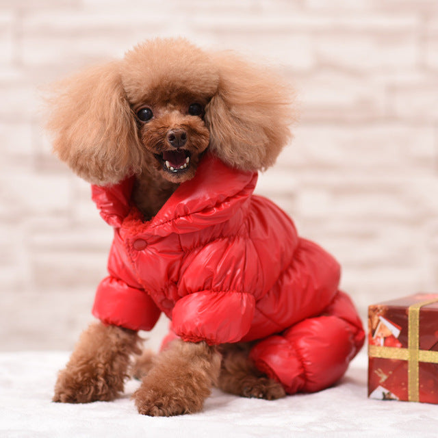 Winter dog puffa jacket