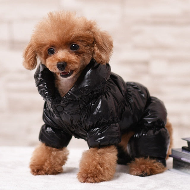 Winter dog puffa jacket