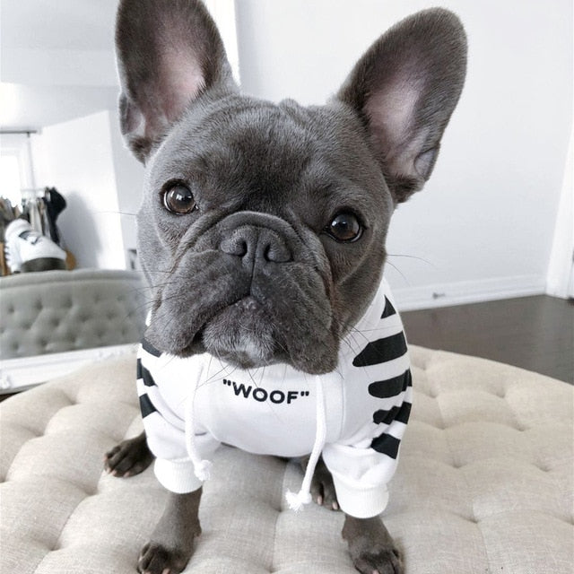 WOOF Designer Hoodie