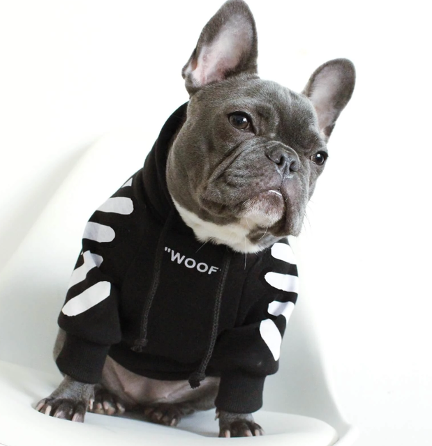 WOOF Designer Hoodie