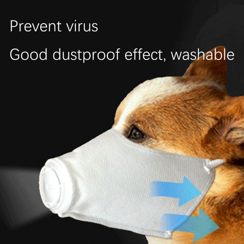 Dog Coronavirus mask