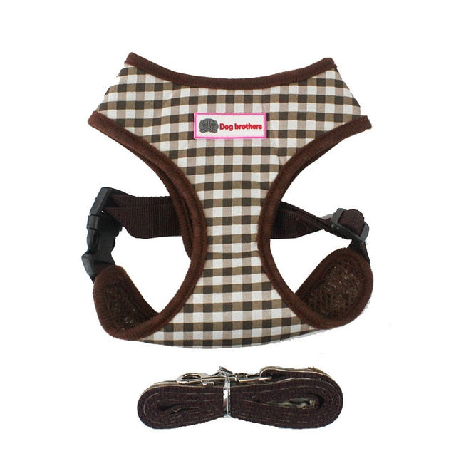 Dog Harness Leash Set