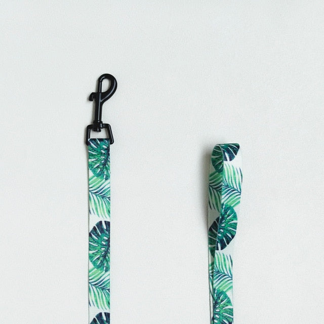 Printed Reversible Harness Leash