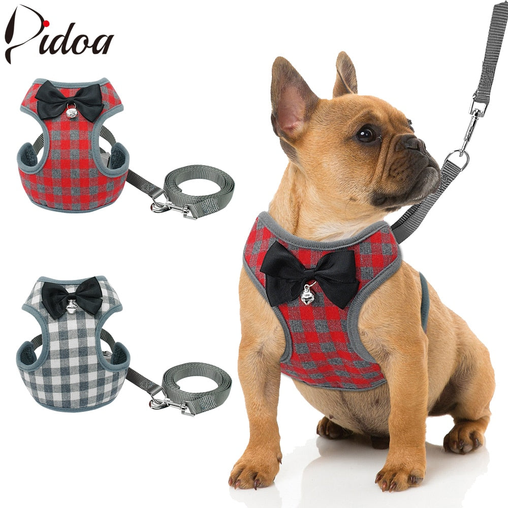 Small Dog Harness and Leash Set