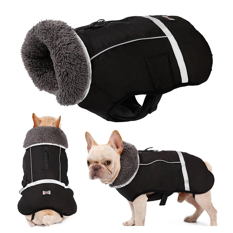 Outdoor Dog Jacket