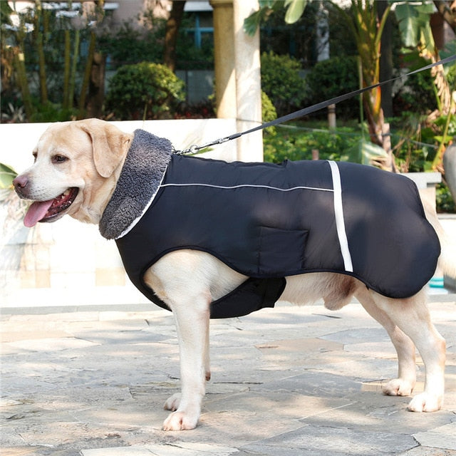 Outdoor Dog Jacket