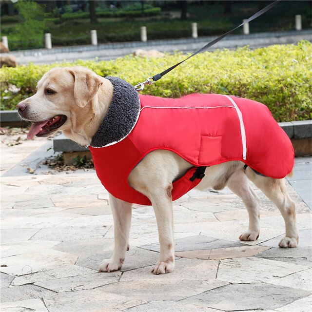 Outdoor Dog Jacket