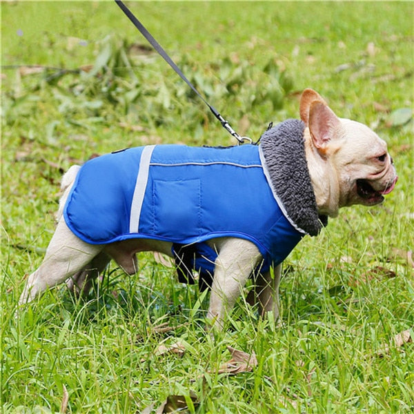 Outdoor Dog Jacket